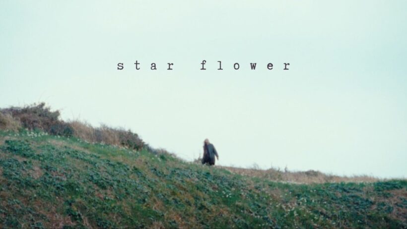 Chilli Beans. - star flower (Official Music Video)