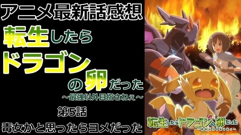 【感想】ヒロイン候補【転生したらドラゴンの卵だった～最強以外目指さねぇ～】【アニメ】【最新話】【レビュー】