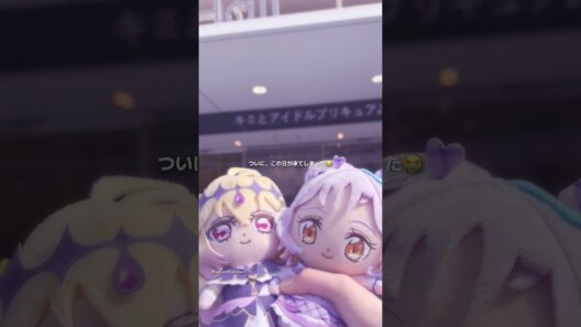 感謝祭最高だった😭#キミプリ #キミとアイドルプリキュア #たんプリ #名探偵プリキュア #プリキュア #手元動画 #viog