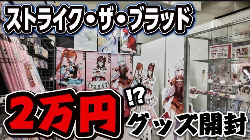 【グッズ開封】謎の大行列が発生!?一番好きな作品「ストライク・ザ・ブラッド」のグッズ開封をしていくぅ〜!!!