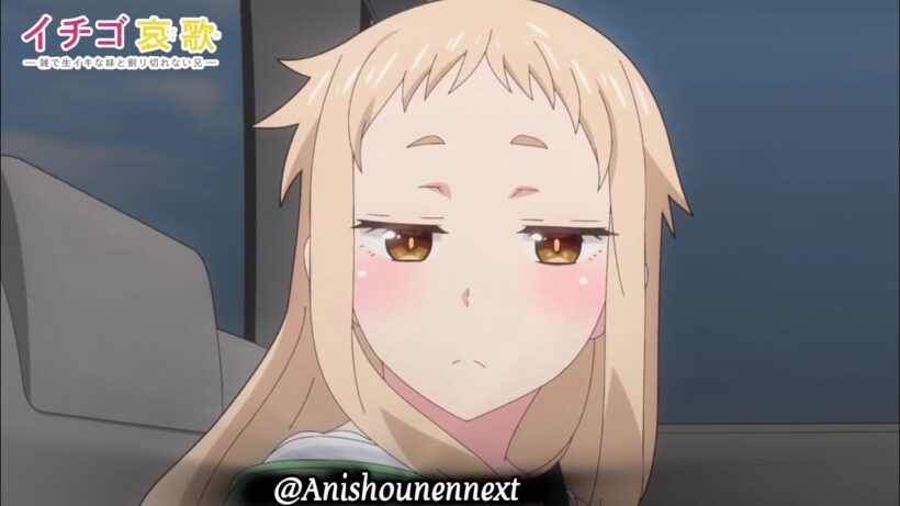Ichigo Aika Episode 8 | TVアニメ【イチゴ哀歌〜雑で生イキな妹と割り切れない兄〜】第8話次回予告