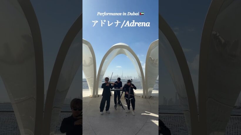 【花ざかりの君たちへ - アドレナ(ADRENA) / YOASOBI 】feat. A (cover)