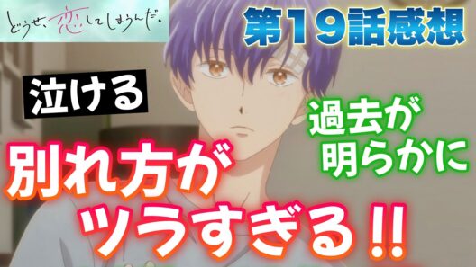 【恋しま19話】 衝撃の別れ！ 輝月の過去が明らかに！ ツラすぎる展開！ 【 どうせ、恋してしまうんだ。 Season2 アニメ感想 】