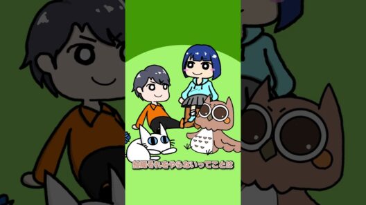 【どこヴァン！ねお】カードをきれいに管理するって出来るの？