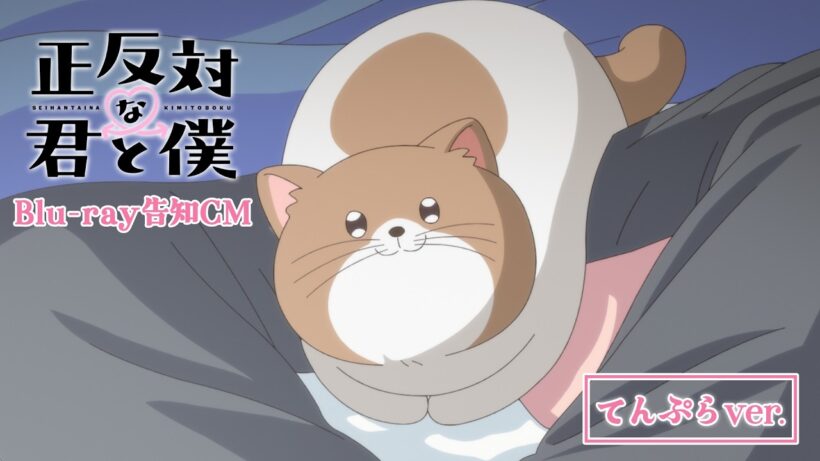 TVアニメ「正反対な君と僕」Blu-ray告知CM てんぷらver.