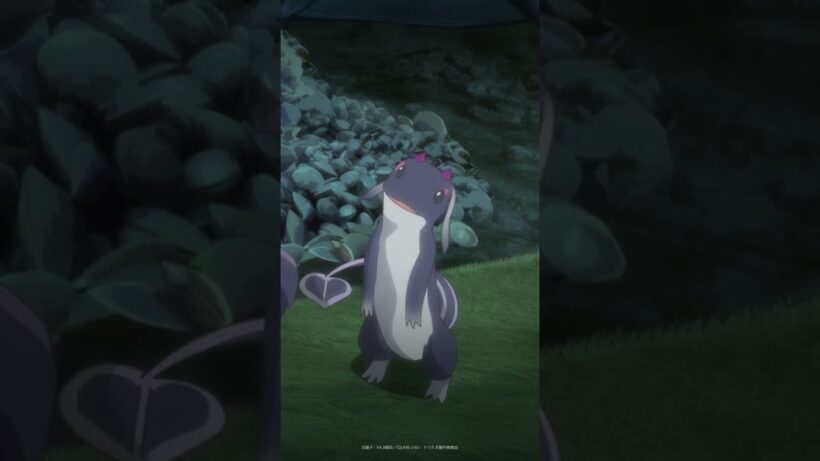 TVアニメ『転生したらドラゴンの卵だった』第6話「人間になったらシバかれた」より🥚✨#イルシアくん #shorts #ドラたま