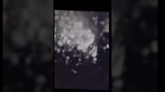 真夜中ハートチューン　イコ