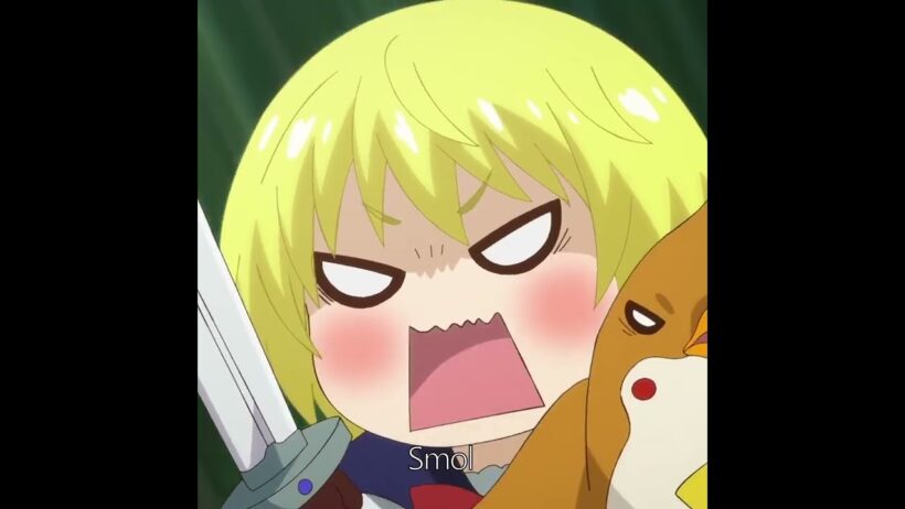 Smol