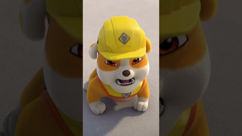 Rubble meets baseball pro Aaron Judge! | Rubble & Crew