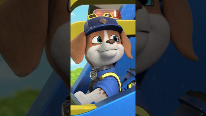 ¡Rubble & Crew rescatan el ayuntamiento!