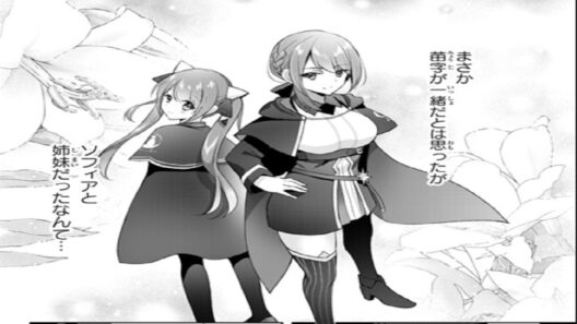 【異世界漫画】 「器用貧乏だからクビ」勇者パーティーを追放された男、ソロで最強の万能者を目指す！ 1~57.4 【マンガ動画】