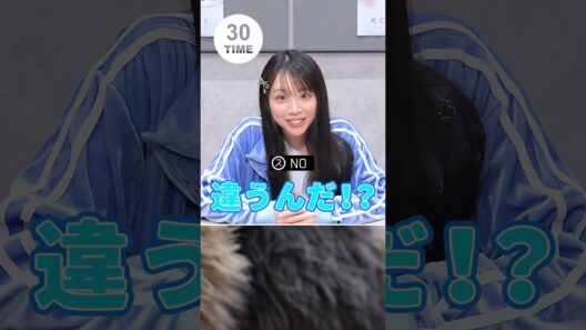 『#死亡遊戯で飯を食う。』 99本ゲームチャレンジ！【65本目は『この拡大画像はなんだ？チャレンジ』】#三浦千幸