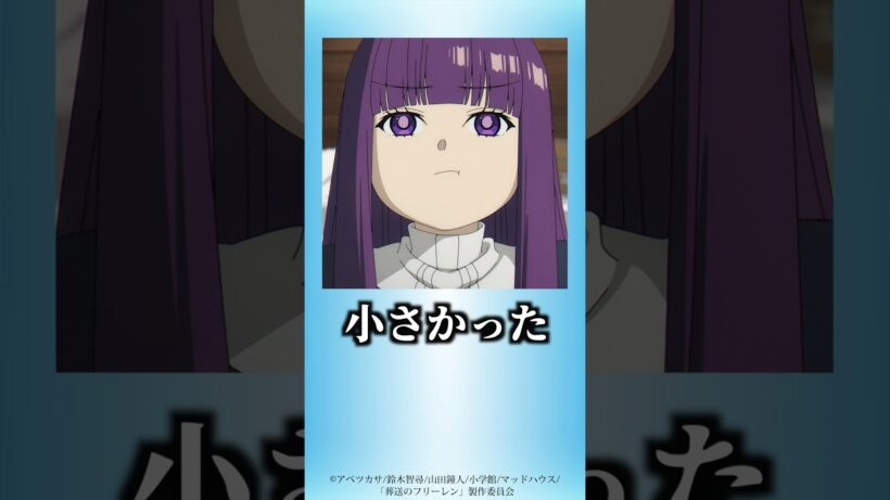 フェルン『ちっさ』発言の本当の意味【葬送のフリーレン】 #雑学 #考察 #shorts #葬送のフリーレン #アニメ