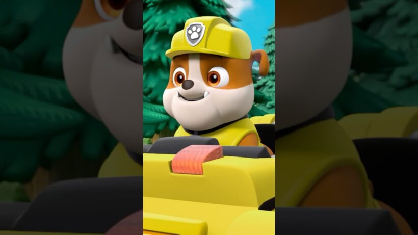 Rubble meets his favorite Dinosaur! 🦖 #shorts