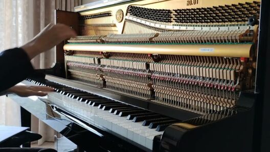 綺麗。 (綺麗にしてもらえますか。)