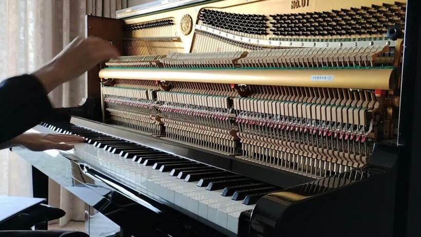 綺麗。 (綺麗にしてもらえますか。)