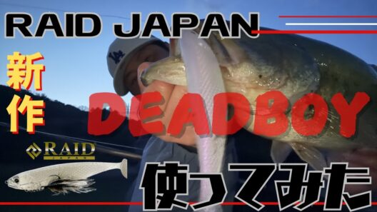 【新作ルアー】RAIDJAPAN 『DEAD BOY』すごいパワーだった‼️