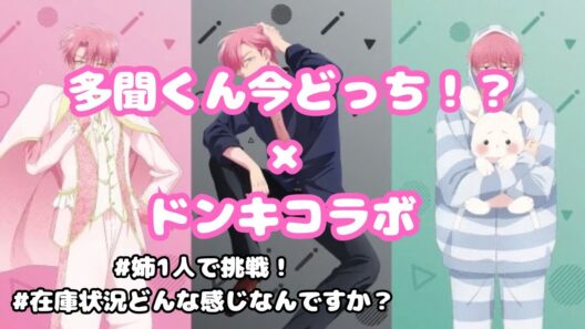 【多聞くん今どっち！？商品紹介＆感想】姉ひとりで妹のために頑張ってきました！！