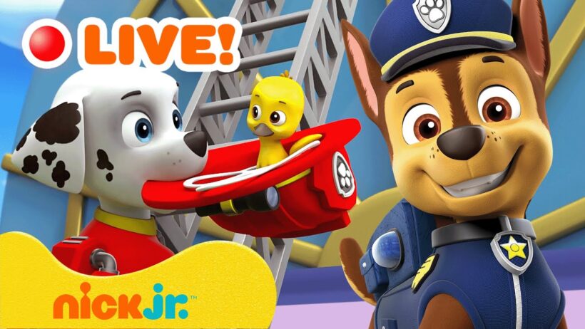 🔴 AO VIVO: As aventuras e resgates mais heróicos da PAW Patrol com Rubble! 💥