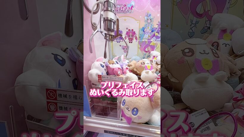 名探偵プリキュアのプリフェイスぬいぐるみがきた！ポチタンがほしすぎる✨ #名探偵プリキュア #たんプリ #プリキュア #precure