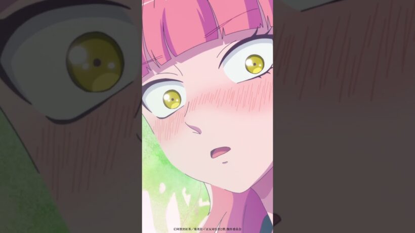 TVアニメ「正反対な君と僕」第11話『修学旅行！(後編)』から「心配して損した！！」