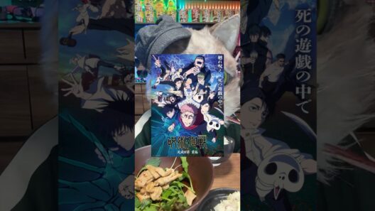 アニメ呪術廻戦「死滅回游前編」の最終回を見て震えた猫ちゃん　#ねこ