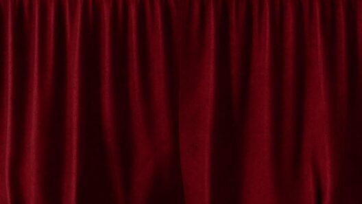 「転生した大聖女は、聖女であることをひた隠す」ひた隠しにしていた新情報も解禁しちゃいます！ステージ