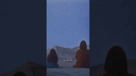 TOMOO - ソナーレ #違国日記