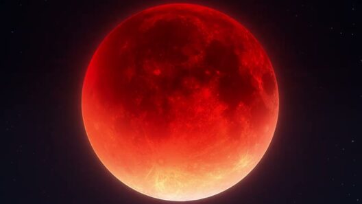 DARK MOON: THE BLOOD ALTAR | Anime MV - One In A Billion (JP Ver.)