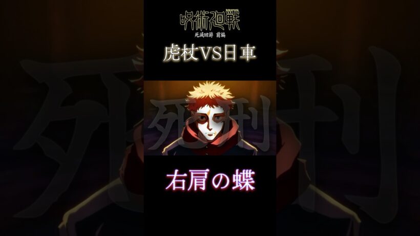 【MAD】呪術廻戦 死滅回游前編 虎杖vs日車/右肩の蝶 #呪術廻戦 #死滅回游 #虎杖悠二 #日車寛見 #右肩の蝶 #宿儺 #mad