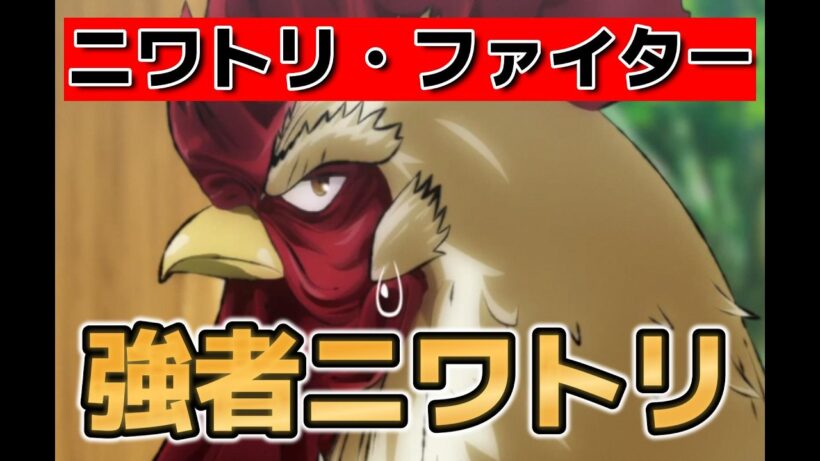 【ニワトリファイター】1話！強いニワトリ！【2026年春アニメ】