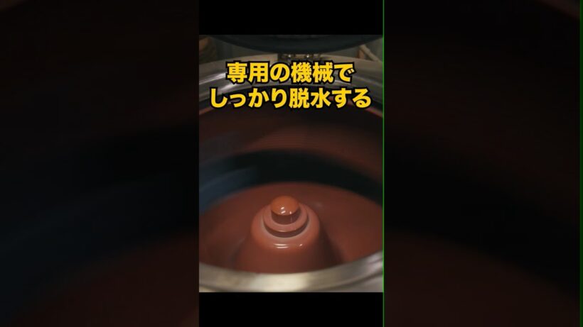 クリーニング店 プロの技③【ニット洗い】 #若葉のころ#清浦夏実 #きにして #クリーニング