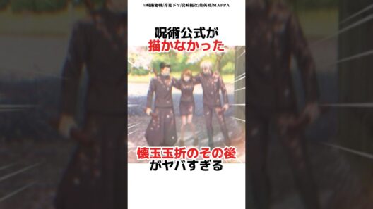 呪術公式が描かなかった懐玉玉折のその後