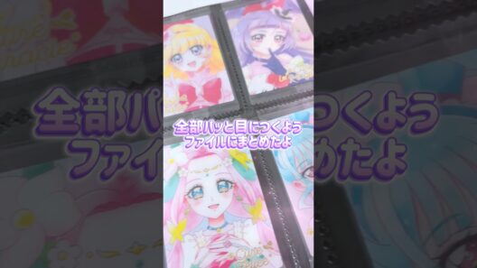 プリキュアのカード系グッズを収納💕……したんだけど、悩みできちゃった🥲💦#precure #プリキュア #名探偵プリキュア #推し #推し活