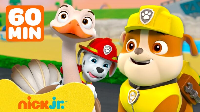 PAW Patrol Animal Round-Ups w/ Rubble, Marshall, & Chase! | 1 Hour | Rubble & Crew
