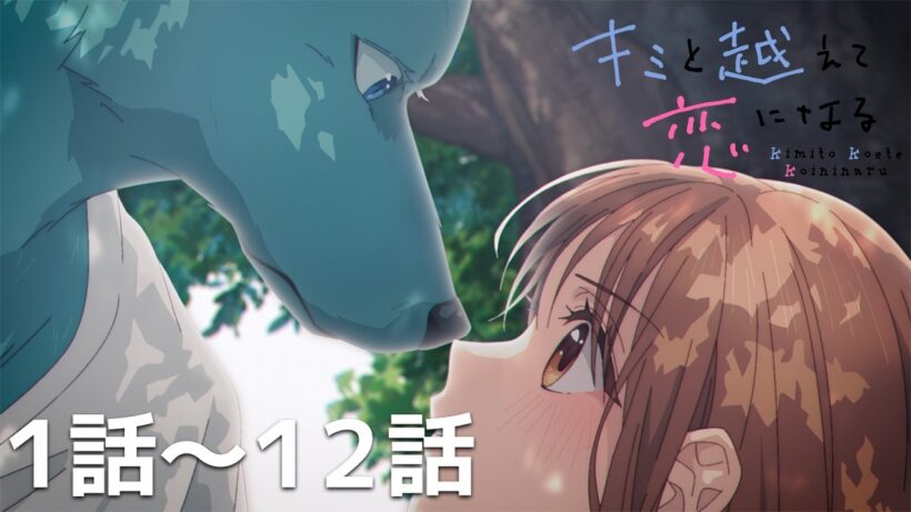 【公式】第１話～第１２話「キミと越えて恋になる」期間限定本編配信