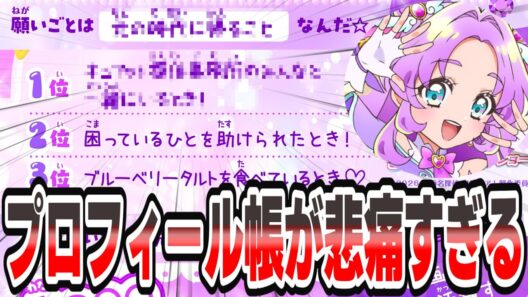 【悲痛すぎる】明智あんなのプロフィール帳が重すぎる…願い事の内容に視聴者騒然【反応集】