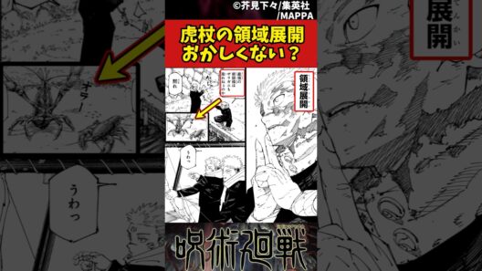 【呪術廻戦】虎杖の領域展開おかしくない？ #呪術廻戦 #反応集