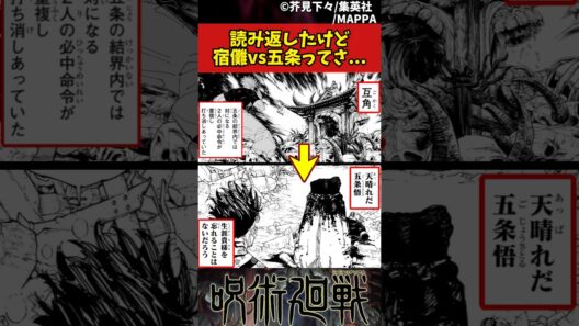 【呪術廻戦】読み返したけど宿儺vs五条ってさ... #呪術廻戦 #反応集