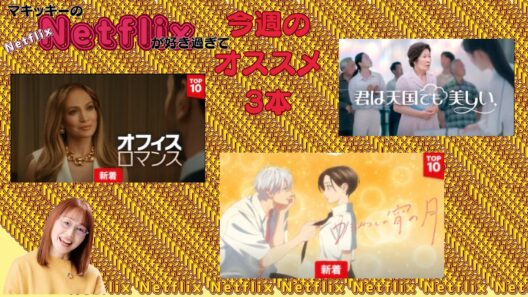 NETFLIX 【オフィスロマンス・君は天国でも美しい・うるわしの宵の月】