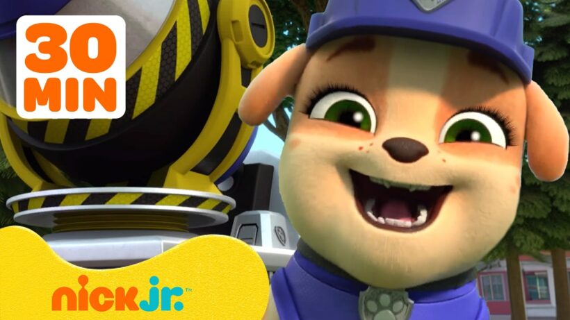 Making Cement with Rubble and Mix! | Rubble & Crew | 30 Minutes | Nick Jr.