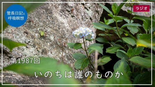 第1987回「いのちは誰のものか」2026/6/16【毎日の管長日記と呼吸瞑想】｜ 臨済宗円覚寺派管長 横田南嶺老師
