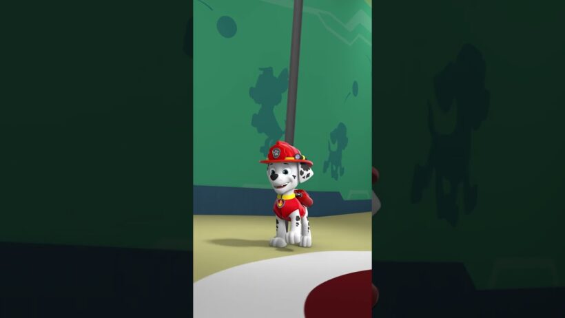 Pups' Pole Trend #short
