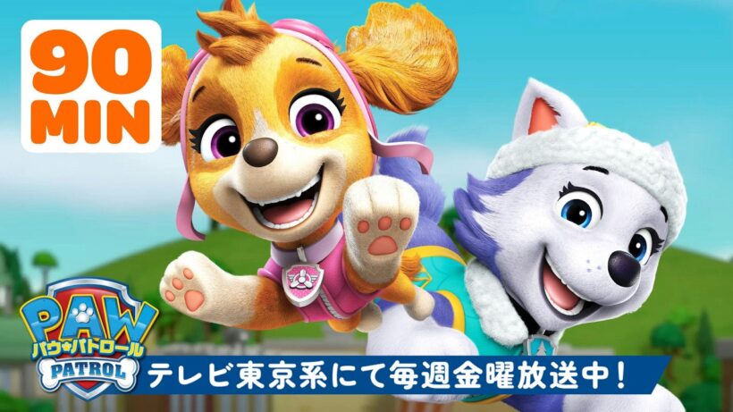 パウ・パトロール | ガールパワーれすきゅー！スカイ＆エベレスト｜90ふん | テレビ東京系にて放送中