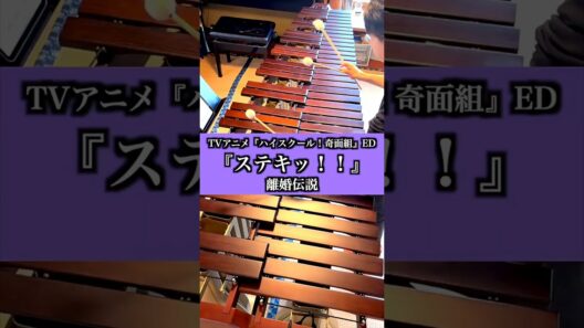 マリンバ1台で1人再現｜ファーストキス＆ステキッ!!【離婚伝説】
