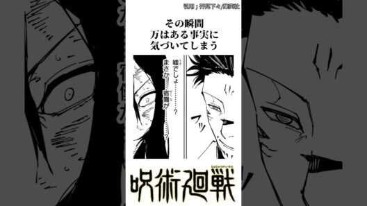 【呪術廻戦】涙。宿儺vs万。 #呪術廻戦 #宿儺 #死滅回遊