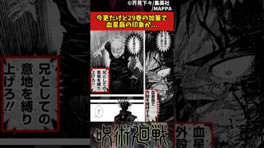 【呪術廻戦】今更だけど29巻の加筆で血星磊の印象が... #呪術廻戦 #反応集