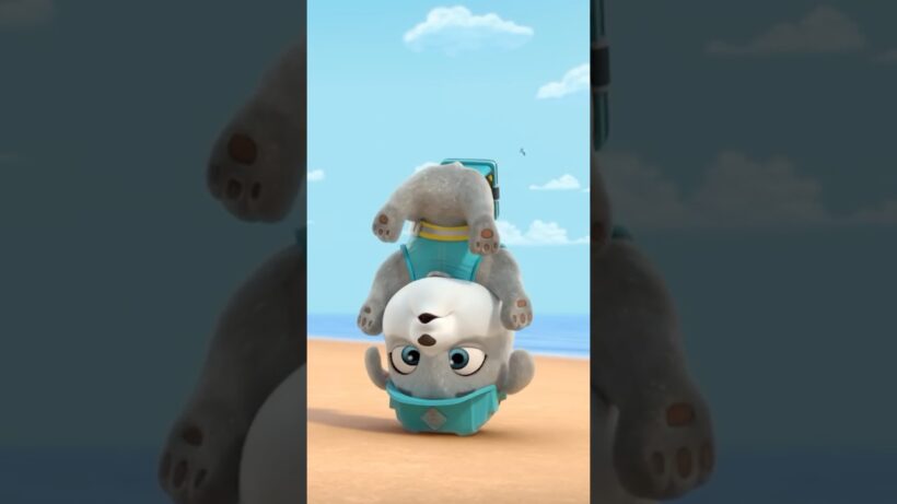 Beach Day with Rubble & Crew! 🏖️☀️
