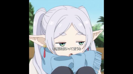 私は全く年を取っていません。 #tvshow #anime #葬送のフリーレン #shorts
