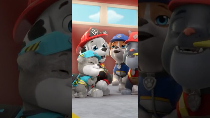🎉 Every Time Rubble & Crew Celebrated a Job Well Done! 🐶